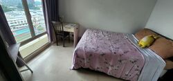 Oleander Towers (D12), Apartment #564769741